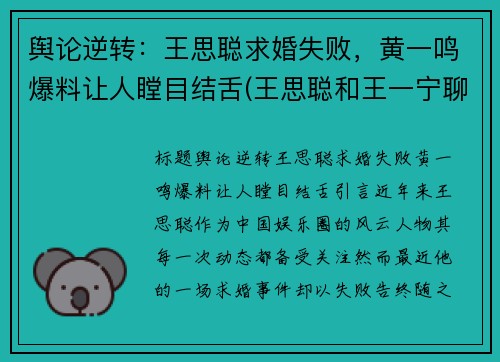 舆论逆转：王思聪求婚失败，黄一鸣爆料让人瞠目结舌(王思聪和王一宁聊天)